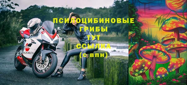 первитин Грязовец