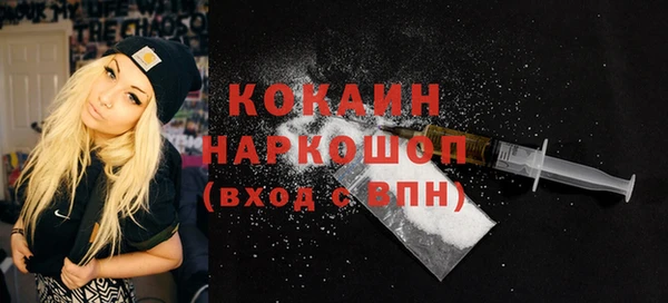 дмт Губаха