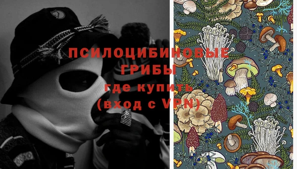 соль курить ск Богородск